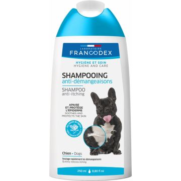 Shampooing anti-démangeaisons pour chiens