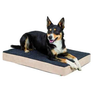 MATELAS À MÉMOIRE DE FORME - KERBL - POU R CHIENS -  BEIGE/ANTHRACITE - 100X60X8C M