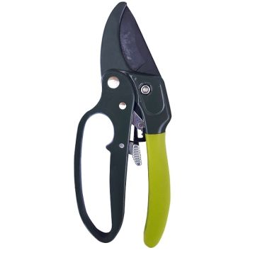 Sécateur à crémaillère - Teragile - 20 cm