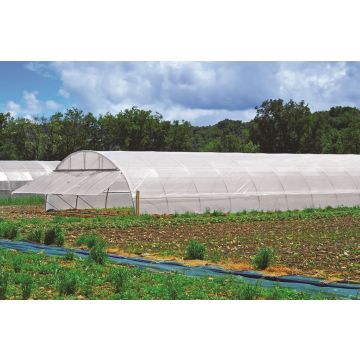 Rouleau de film de serre 200 microns - Plastidis - 6,5 x 60 m - Transparent