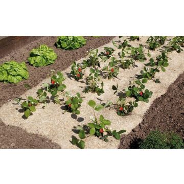 Toile de paillage Chanvrelin - Nortene - 500 g/m² - 0,75x5 m