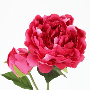 Pivoine artificielle - Fuchsia - 76 cm