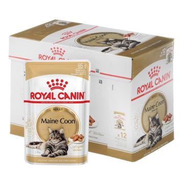 Boîte Maine Coon Adult en sauce pour chat adulte - Royal Canin - 12 x 85 g