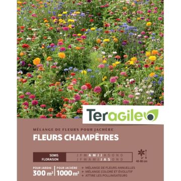 Mélange de fleurs champêtres pour jachère - Graines pour 300 m² - Teragile