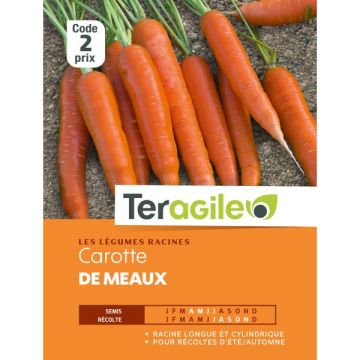 Carotte longue lisse de meaux - Graines- Teragile