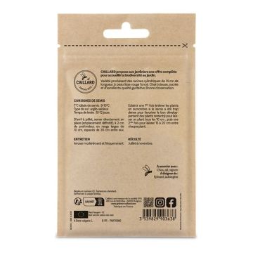 Betterave cylindra - Graines - Caillard