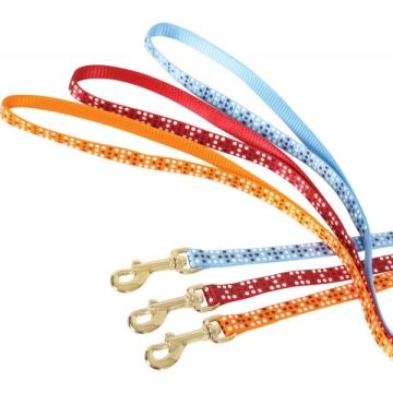 Laisse nylon Colorful pour chat - Zolux - 1 m / 10 mm - Bleu