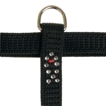 Harnais Night Fish pour chat - Zolux - 10 mm - Noir