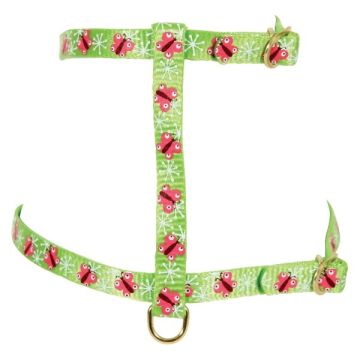 Harnais Nylon Butterfly pour chat - Zolux - 10 mm - Vert