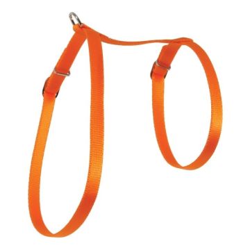 Harnais Nylon réglable pour chat - Zolux - Orange