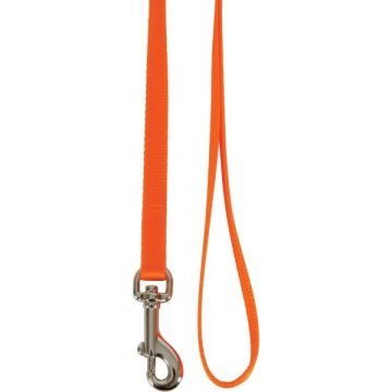 Laisse nylon pour chat - Zolux - Orange