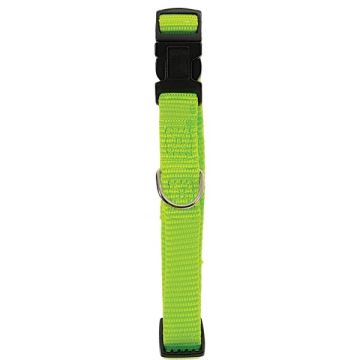 Collier Nylon réglable pour chien - Zolux - 40 mm - Vert Anis