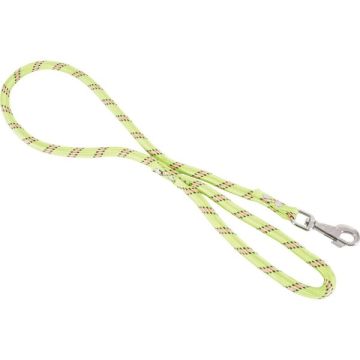Laisse nylon Corde pour chien - Zolux - 1,2 m / 13 mm - Vert Anis