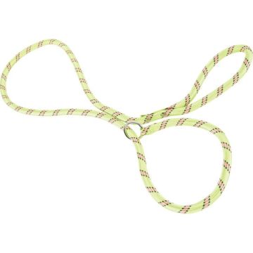Laisse nylon Corde Lasso pour chien - Zolux - 1,80 m / 13 mm - Vert Anis