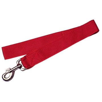 Laisse nylon XL pour chien - Zolux - 40 mm x 60 cm - Rouge