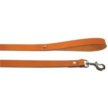 Laisse cuir double pour chien - Zolux - 1 m / 25 mm - Naturel
