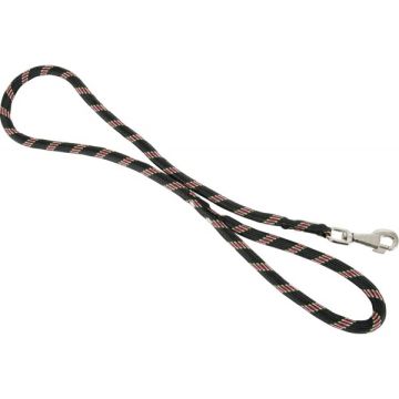 Laisse nylon Corde pour chien - Zolux - 1,2 m / 13 mm - Noir