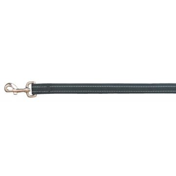 Laisse nylon Reflex Cushion pour chien - Zolux - 1,2 m / 15 mm - Noir