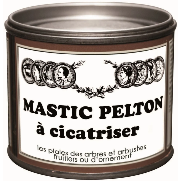Mastic à cicatriser - 400g - Pelton