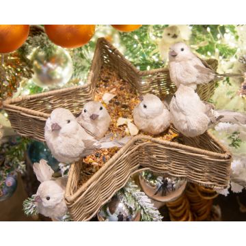 Oiseau sur clip - 8 cm - Modèle au choix