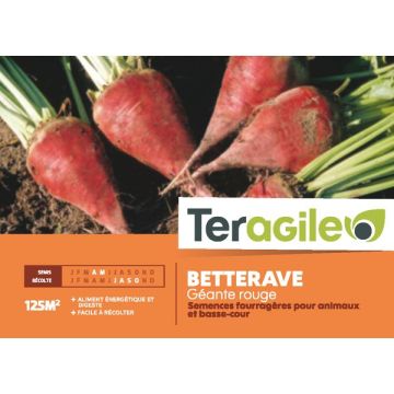 Betterave rouge - Teragile - 250 g