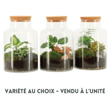 Terrarium 90068 - pot de 17 cm