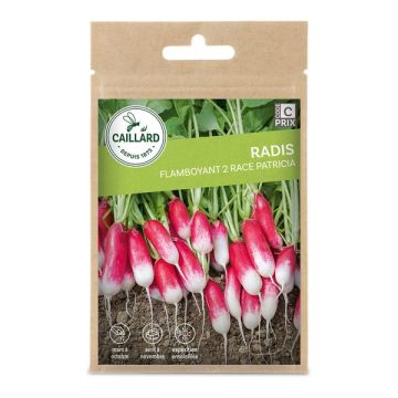 Radis Flamboyant 2 Race Patricia - Graines - Caillard