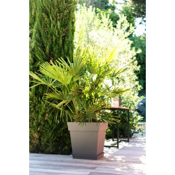 Bac carré Toscane 50 cm - EDA - Taupe