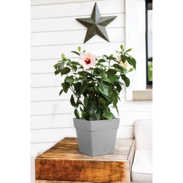 Pot bac carré et soucoupe Toscane - 24,8 x 24,8 x 24,6 cm - EDA - Gris