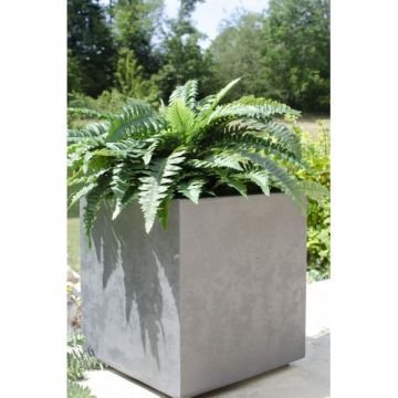 Pot carré Basalt - 40 cm - 31 L - EDA -Gris