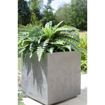 Pot carré Basalt - 40 cm - 31 L - EDA -Gris