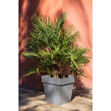 Bac carré Toscane 50 cm - EDA - Anthracite