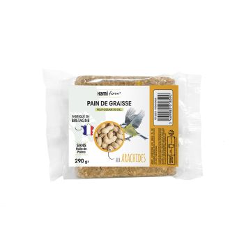 Pain de graisse aux arachides - 290 gr - Hami Form