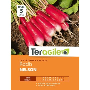 RADIS NELSON TERAGILE