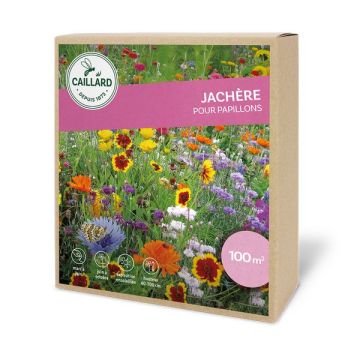 JACHERE POUR PAPILLONS CAILLARD