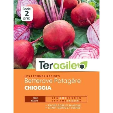 BETTERAVE POTAGERE CHIOGGIA TERAGILE