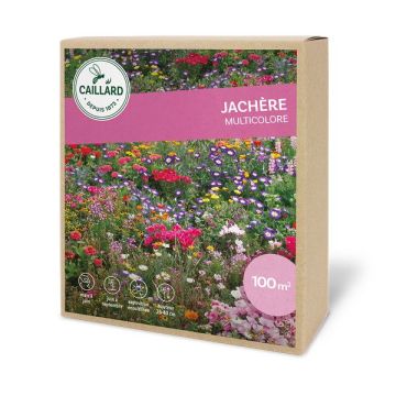 JACHERE MULTICOLORE CAILLARD