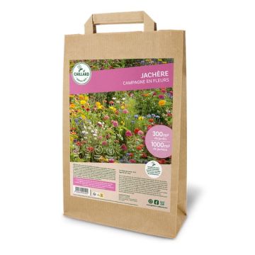 JACHERE CAMPAGNE EN FLEURS CAILLARD