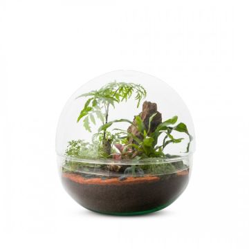 Terrarium Mini monde L - Ø27 cm