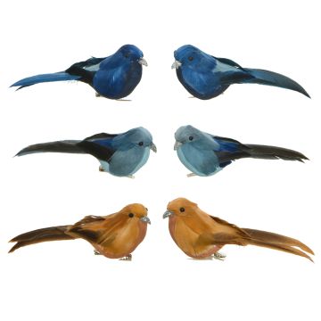 Oiseau sur clip - 6 cm - Modèle au choix