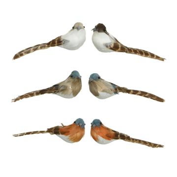 Oiseau sur clip - 5,5 cm - Modèle au choix