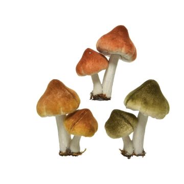 Clip champignon - 9 cm - Modèle au choix