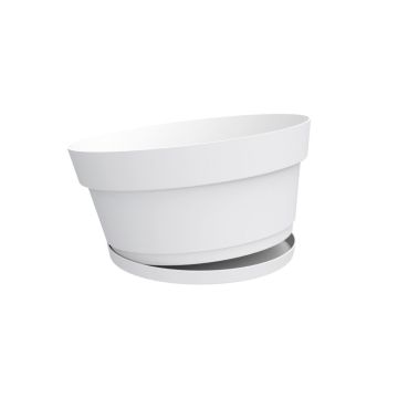 Coupe Chicago + soucoupe clipsée - Ø25 cm - Blanc