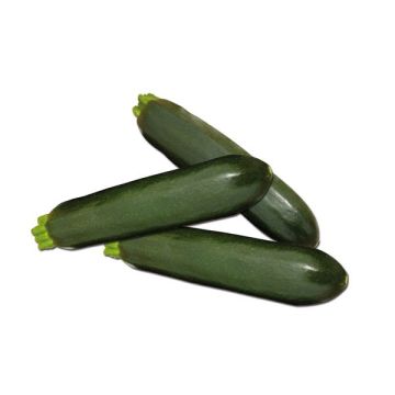 Courgette Diamant pot de 1 litre