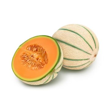 Melon Stellio En Pot De 1 Litre
