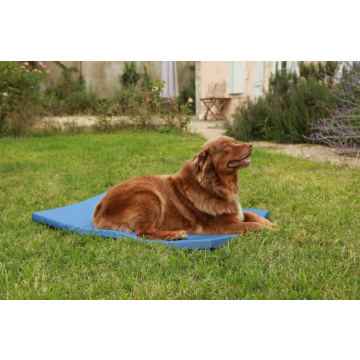 Tapis 4 saisons - Zolux - 105 cm - bleu 