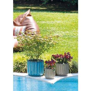 POT CAPRI ASSORTI Ø17H16,5