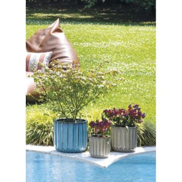 POT CAPRI ASSORTI Ø28H25,5