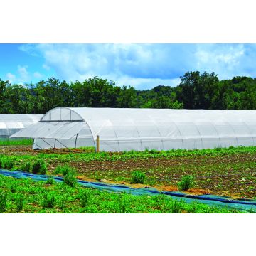 Film serre Plasticlair Cristal - Plastidis - 200 µ