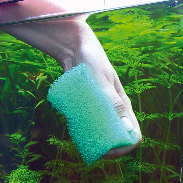 Eponge de nettoyage pour aquarium - JBL JBL
